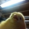 EzeC's profile picture