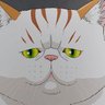 猫柳 的头像