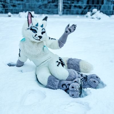 VenaturaWochs's profile picture