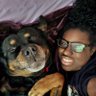 Ariel's profile picture