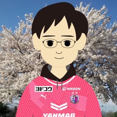 ぼっしー@CRZ🌸🐺&RSF🩵💜's profile picture