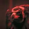 The Vulture | STRANGE HOME 的头像