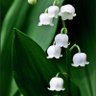 Фото профиля Vonn77