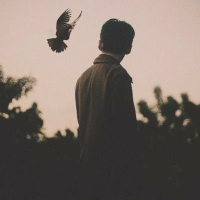 Am尺⚡'s profile picture