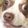 Profilbild von Abstract Bubz