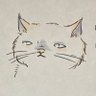 mika's profile picture