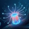 Coral's profile picture