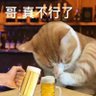 Park Lin 的头像