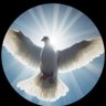 Montana Deb's profile picture