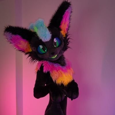 Stripe's profile picture