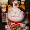 Shulin Wei's profile picture