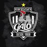 Massa Do Galo 🐔 的头像