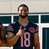 dabears 的头像