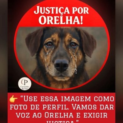 Rescata's profile picture