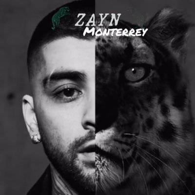ZAYN MONTERREY🇲🇽's profile picture
