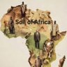 soil of africa 🌍's profile picture