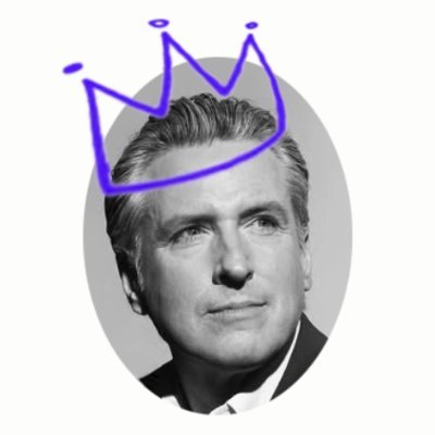 Governor Newsom Press Office (parody)'s profile picture
