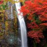 🟩次世代も日本が豊かであるために 的头像
