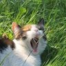 happy girl's profile picture