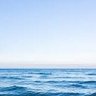 Фото профиля West Ocean
