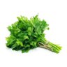 Cilantro profil fotoğrafı