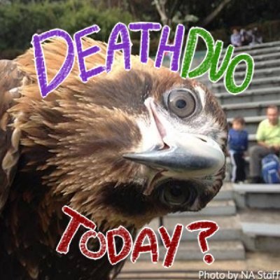blulibboom's profile picture