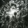 Фото профиля Erazed