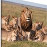 Фото профиля luis andrade