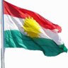 خليـXelîlــل عفـEfrînîـريني 的头像
