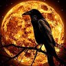 Corvus 的头像