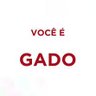 Vigia dos Gados profil fotoğrafı