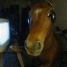 honse's profile picture