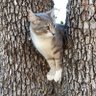 Kizi's profile picture