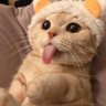 Фхламинго's profile picture