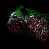 آن.'s profile picture