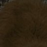 Justice's profile picture