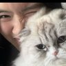Profilbild von PolkaMeowj817🔮😽✨🥚 🧸