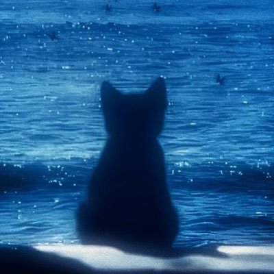 ren kinda inactive's profile picture