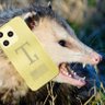 Profilbild von Tweetz The Commie