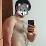 ŞAMDAK AYISI's profile picture
