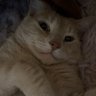 Ben profil fotoğrafı