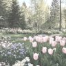 Фото профиля .
