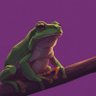 frogsensei亚洲青蛙's profile picture