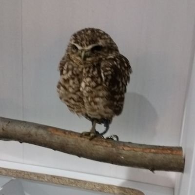yuuuuuuukikun's profile picture