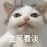 奔啵霸 profil fotoğrafı