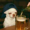 Profilbild von _loner