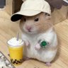HoshiNeko's profile picture