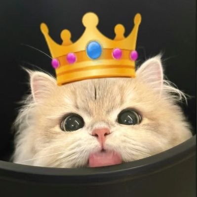 xuelilili888's profile picture