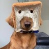 Lemon๐Tea's profile picture
