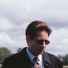 Fox Mulder's profile picture